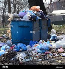 Best Hoarding Cleanup  in Port Huron, MI