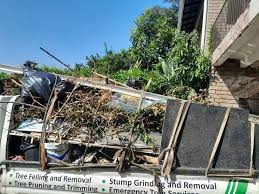 Best Attic Cleanout  in Port Huron, MI